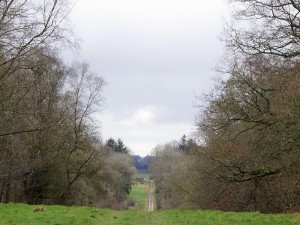 Views down to Wilton Brail