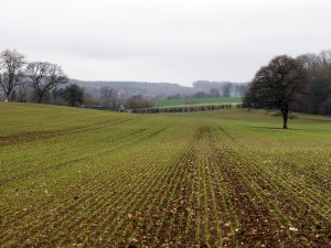 Views across to Brail Farm