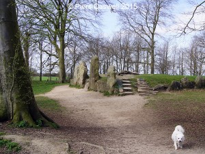 Wayland Smithy Side view from entrance