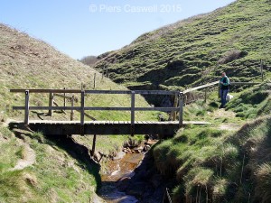 Bridge crossing stream