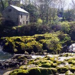 Cenarth flour mill over the river