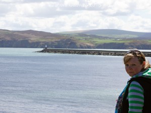 Sherrie seal and porpoise spotting