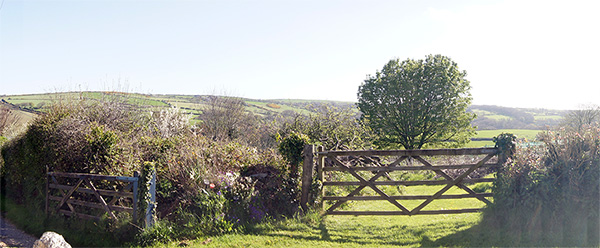 Looking away from the cottage