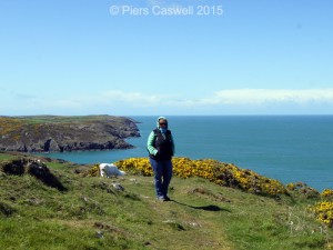 a view carreg wastad point